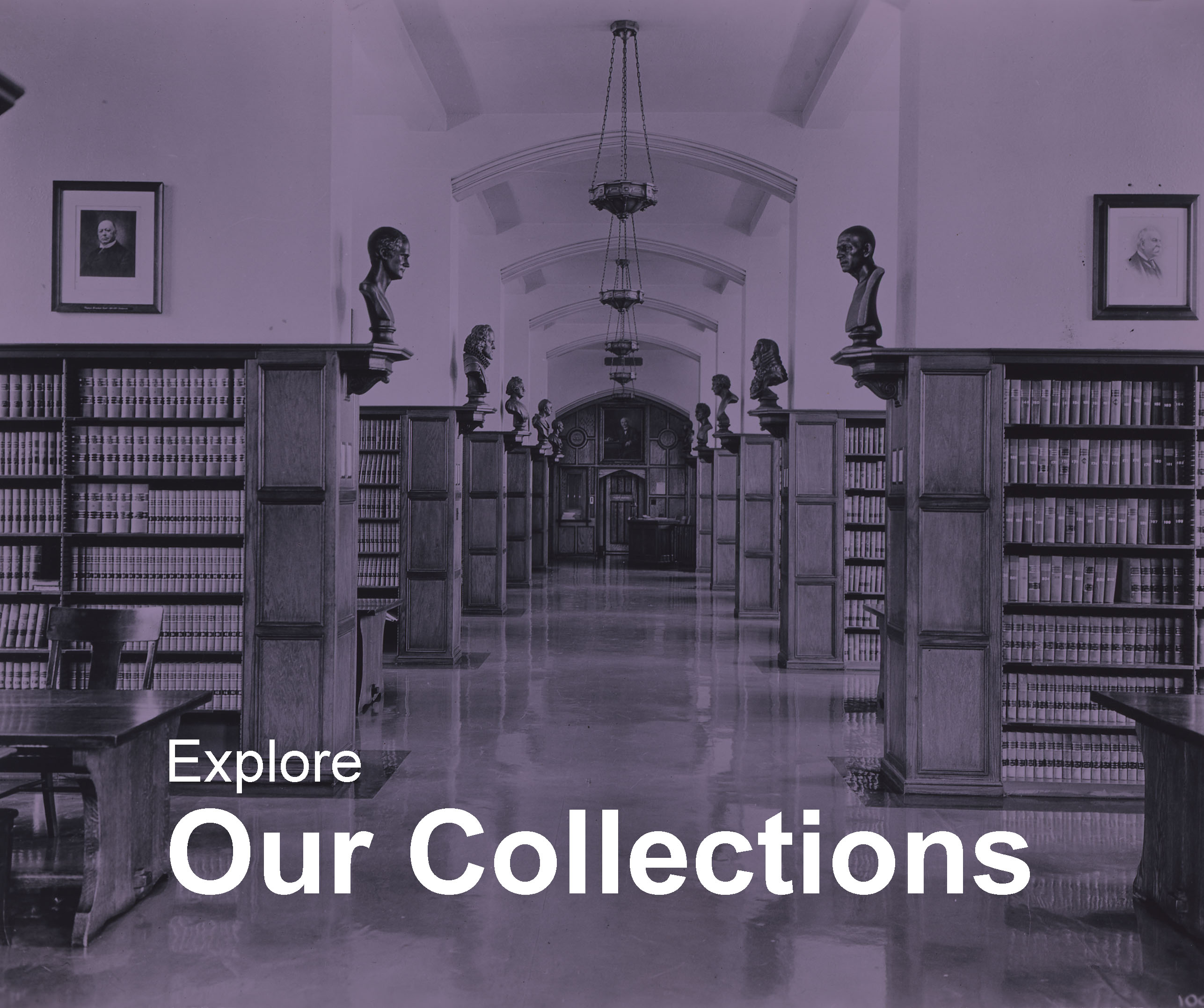 Explore Our Collections